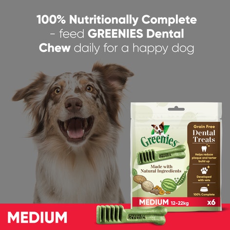 GREENIES™ Grain Free Adult Regular Dog Treats 6 x Dental Chews 170g